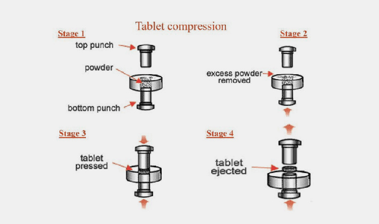 Tablet Press Machine Features Evolution as Per Modern Needs