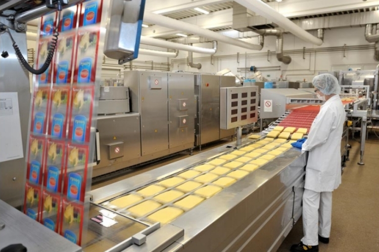 Working Principle of Thermoforming Cheese Packaging Machine