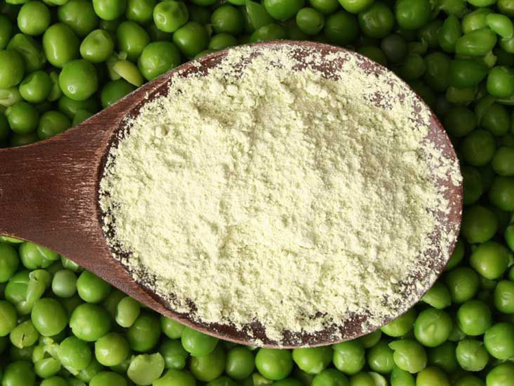 Pea Protein Powder