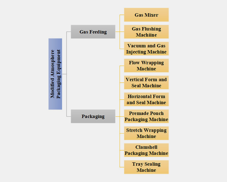 According to Gas Feeding