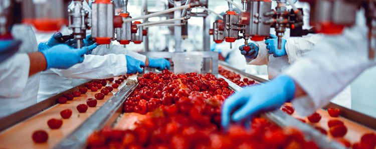 Food Processing Industry Trends