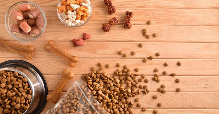 Pet Food Processing