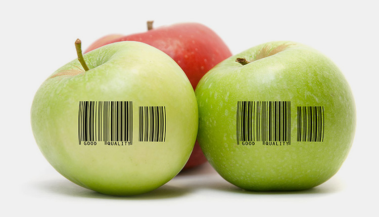 Product Traceability