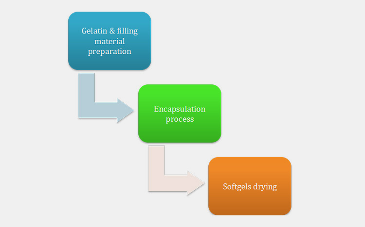 Softgels- Steps Involved