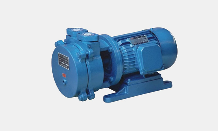 Vacuum Pump