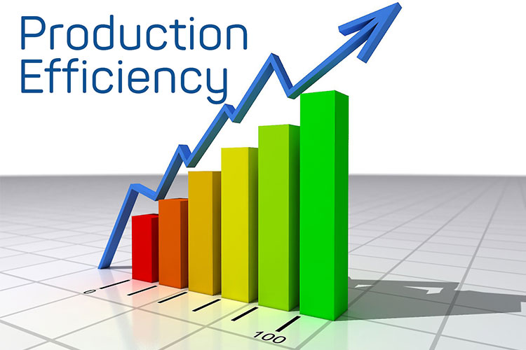 Production Efficiency