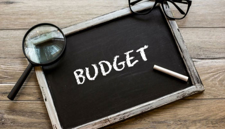 Budget Estimation