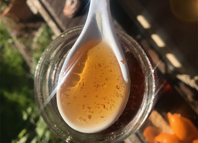 Contamination Of Honey