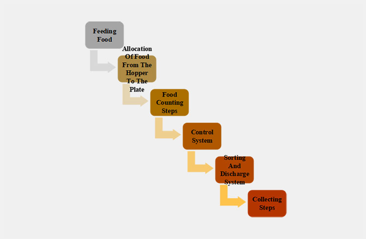 Steps Of Food Counting