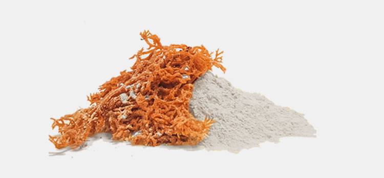 Carrageenan