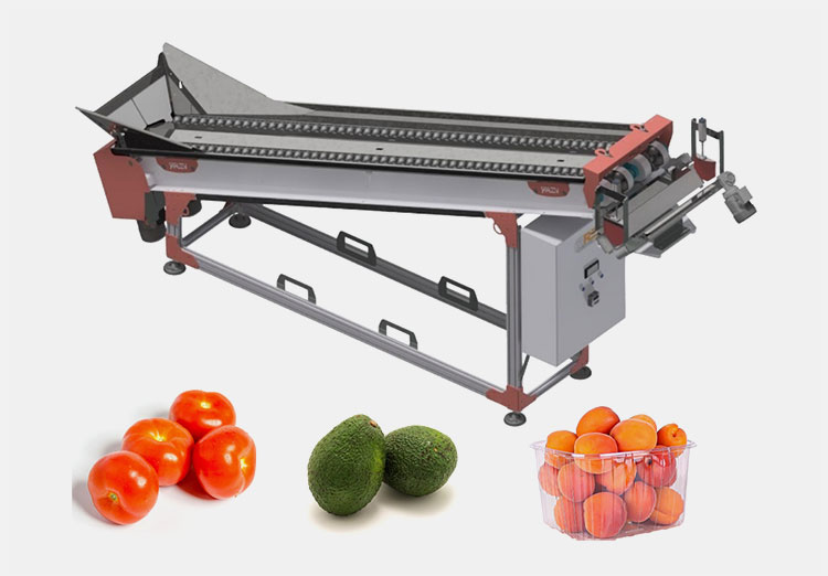 Fresh Fruit Food Counting Machine