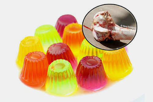 Gelatin Based Gummies