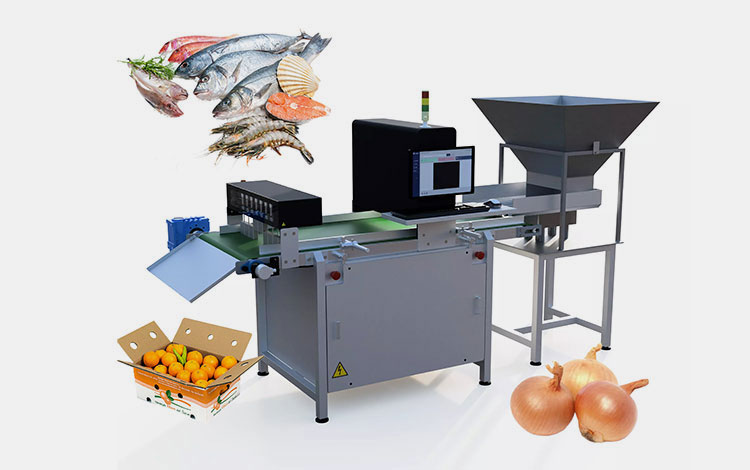 Industrial Vision Fresh Food Counting Machine