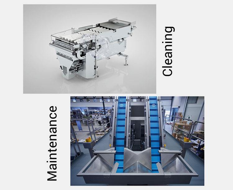 Maintenance Requirements Of A Fresh Food Counting Machine