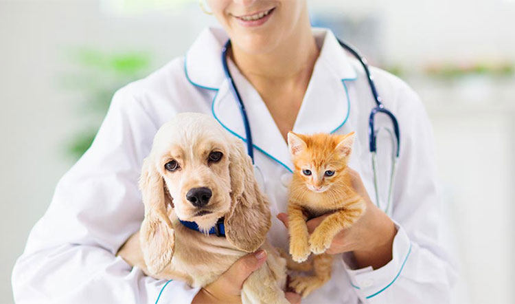 Pet Care Industry