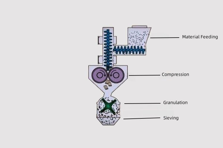 Roller Compaction