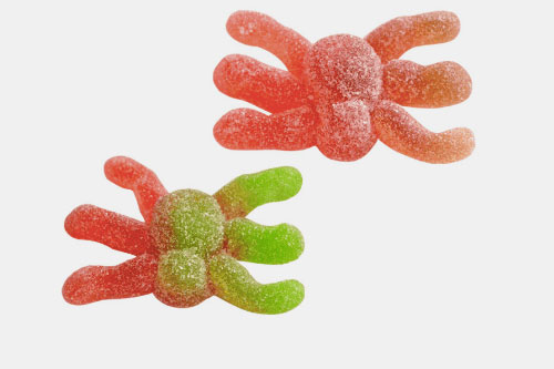 Spider Gummy