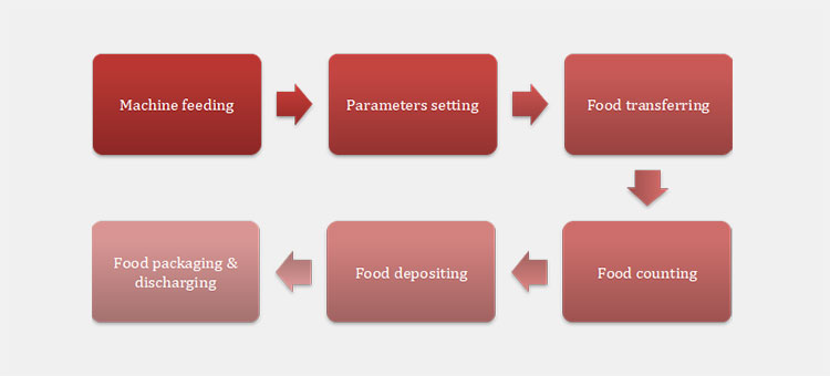 Working Process Of A Fresh Food Counting Machine