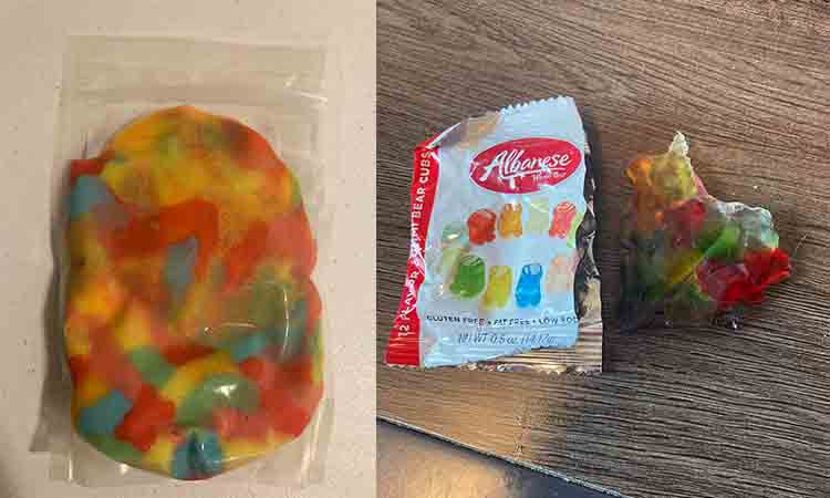 melting gummy bear