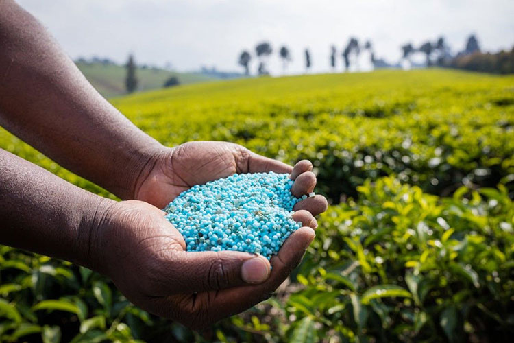 Agricultural Industry