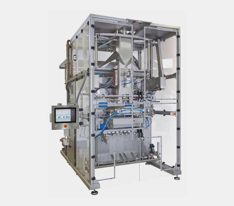 Continuous Motion Pouch Packing Machine