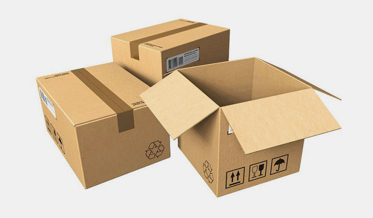 Corrugated Carton Packaging-2