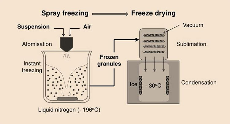 Freeze Granulation