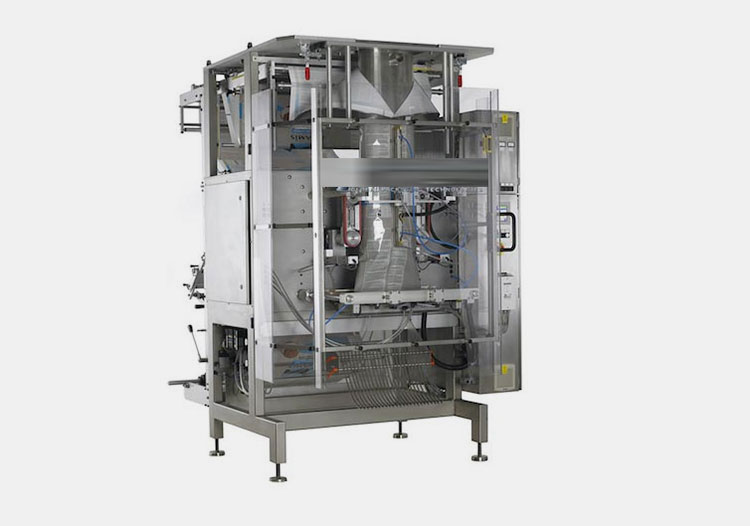 Intermittent Motion Pouch Packing Machine