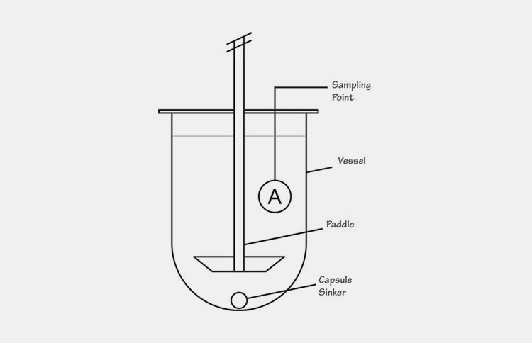 Paddle Type Testing