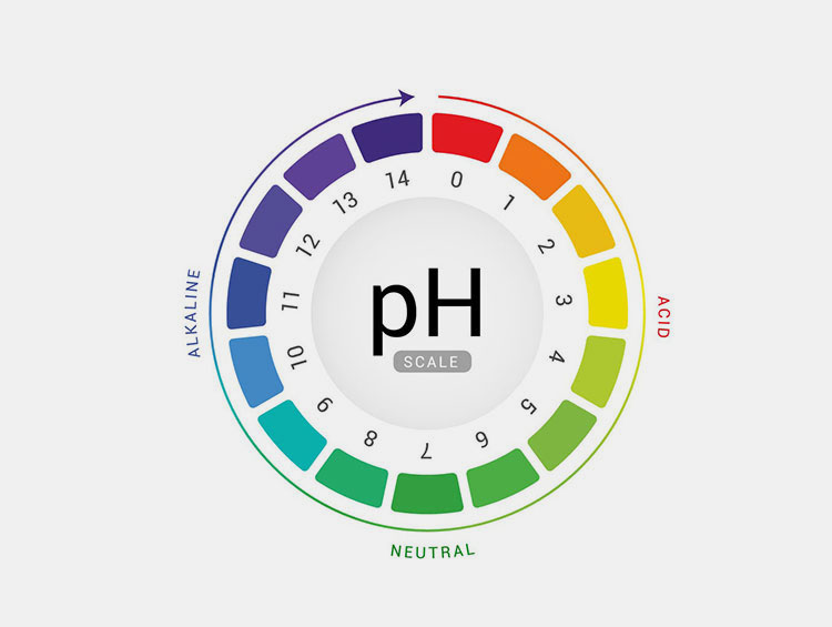 Physiological Condition