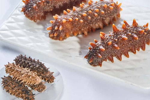 Sea Cucumbers-1