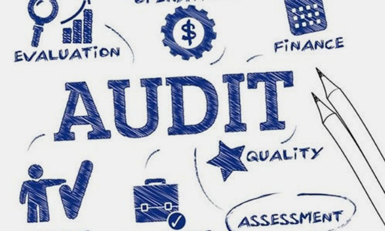 Auditor checks and evaluates