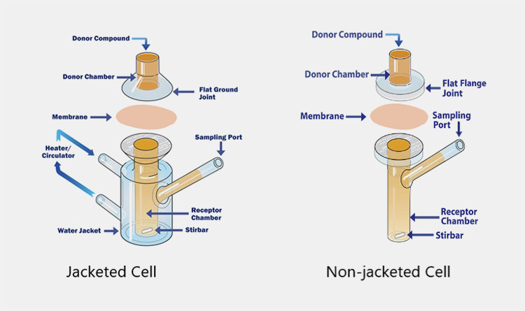 Parts of Drug Transdermal Diffusion Tester