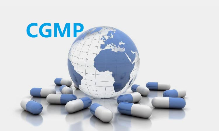 global CGMP