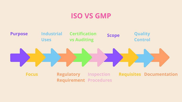 Differences between ISO and GMP