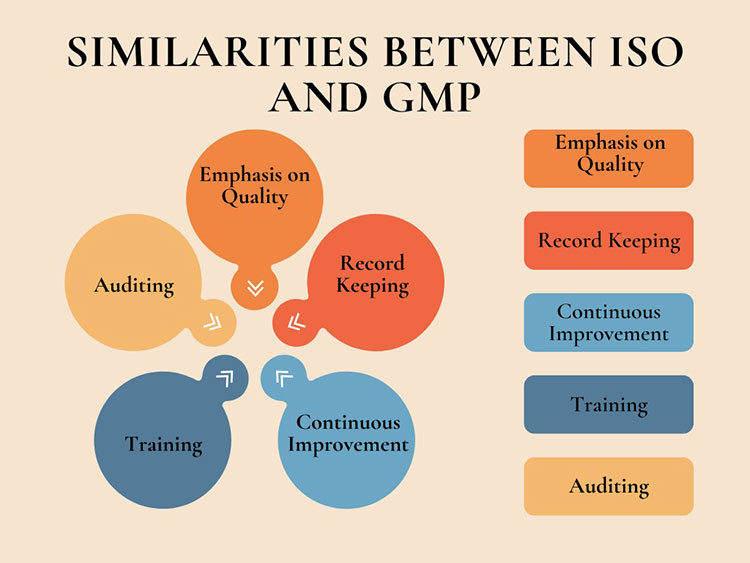 Simmilarities between ISO and GMP