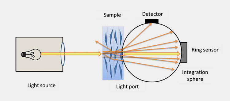 Transparency Detection