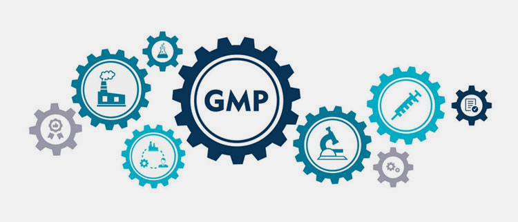 GMP icon