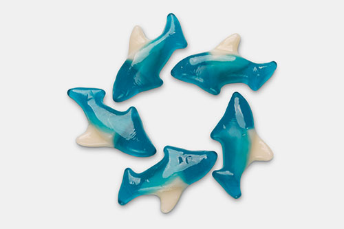 Gummy shark