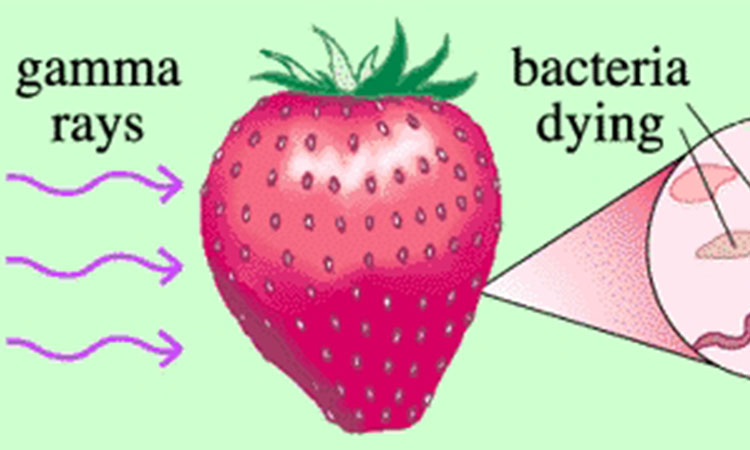 Irradiation