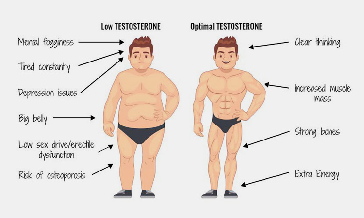 Low-testosterone-level