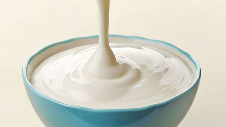 Content of protein in yogurt