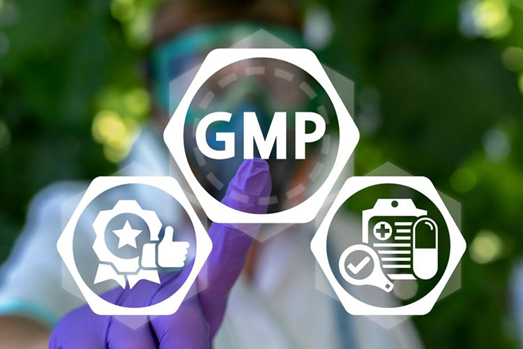 GMP quality standard icon