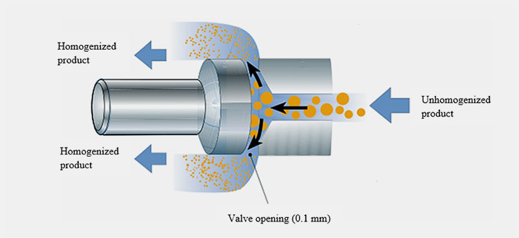 Homogenization