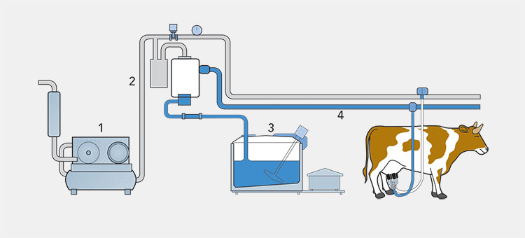 Initial treatment of milk