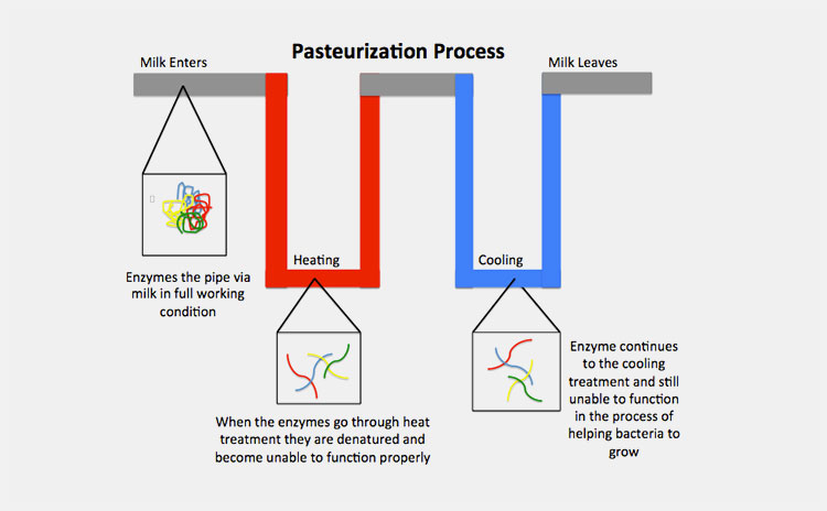 Pasteurization