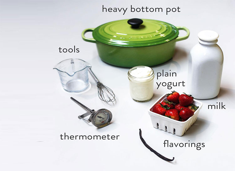 Raw Ingredients in Yogurt Manufacturing Process