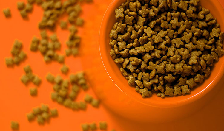 Dry Animal Food Packaging