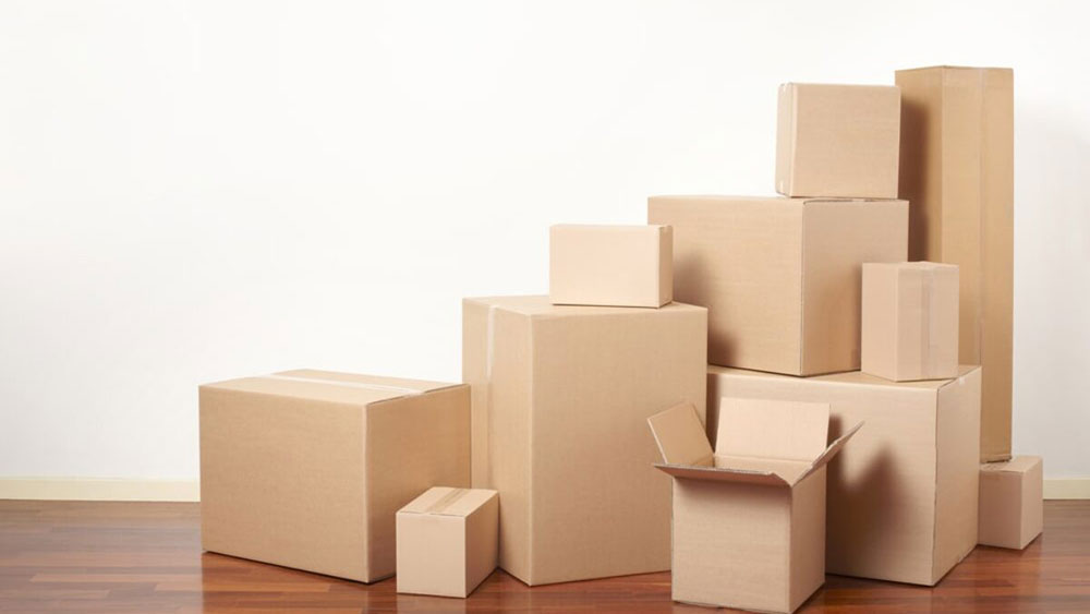 Advantages of Carton Packaging-6