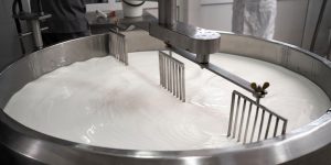 Pasteurization